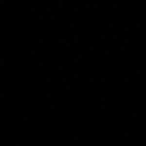 Meet your Posher, Raquel